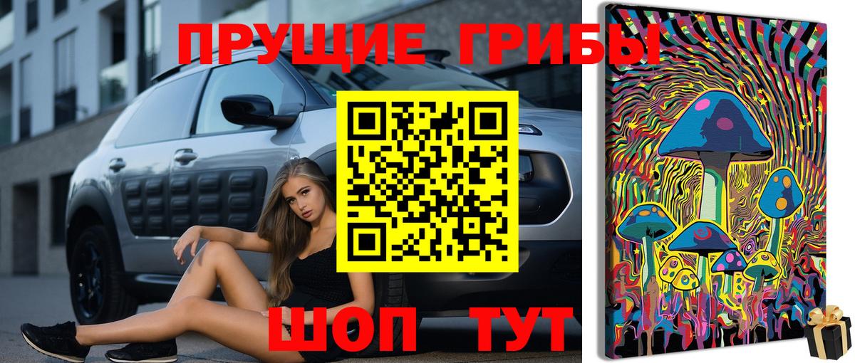 Псилоцибиновые грибы ЛСД  Галлюциногенные грибы ЛСД  Пугачёв  Вход с VPN 