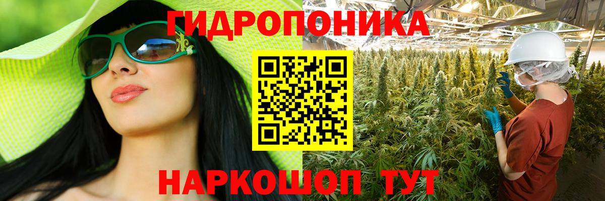 Бошки Шишки AK-47 Пугачёв